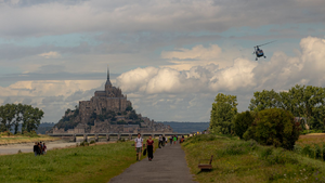 Traitement punaises de lit Mont-Saint-Aignan